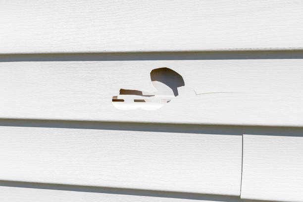 How To Choose The Right Materials for Your Siding Installation in 'Cannon Beach, OR